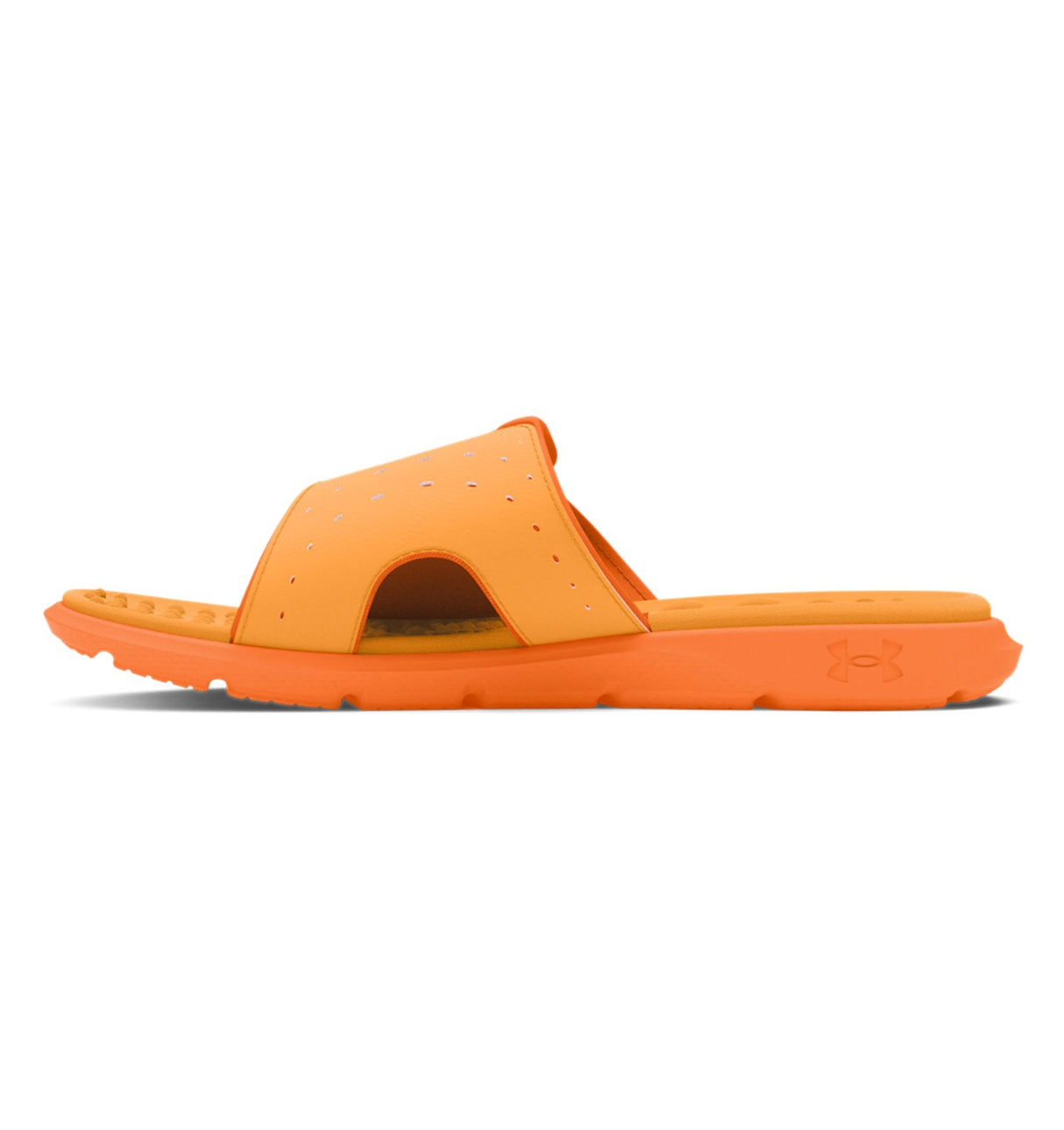 Under Armour Womens Ignite Pro Slides Footwear - Memory Foam Comfort