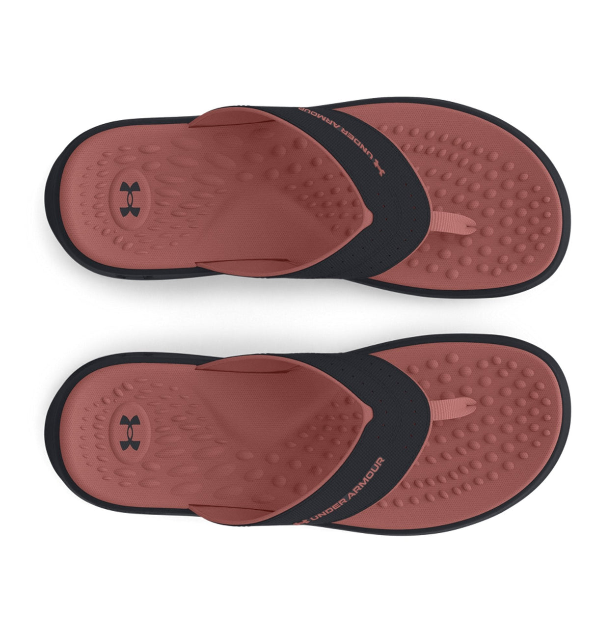 Under Armour Women's UA Ignite Pro Marbella Sandals - Memory Foam Comfort Footwear