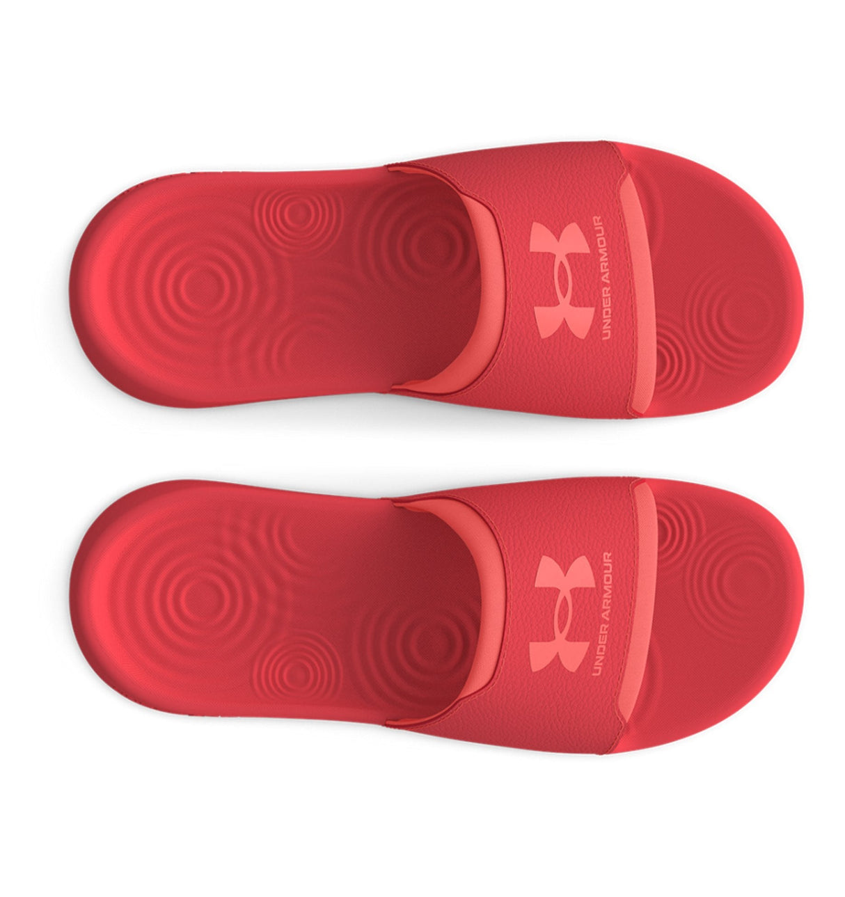 Under Armour Women's UA Ignite Select Slides Footwear - Memory Foam Comfort