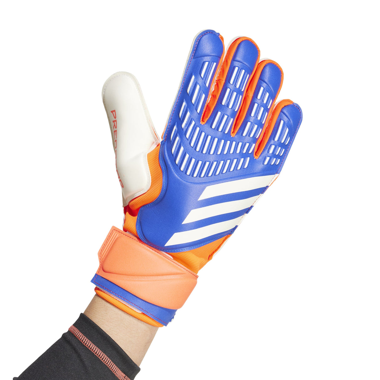 adidas Pred Match Adult Goalkeeper Gloves