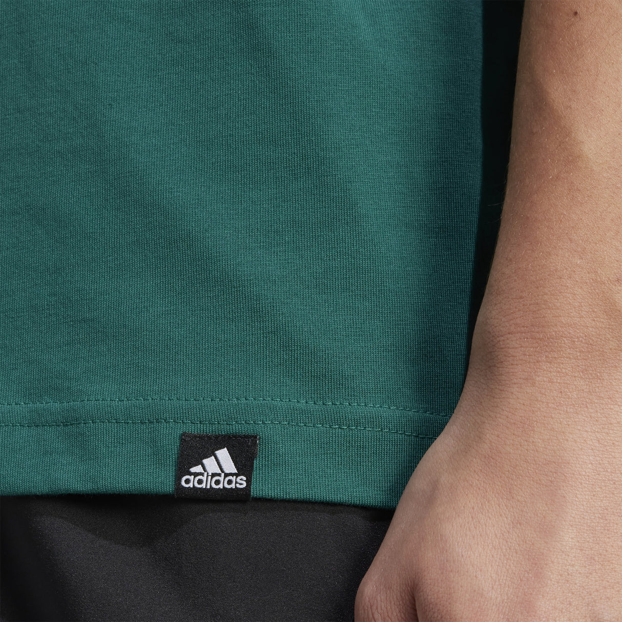 adidas Mens Collegiate Graphic Tee