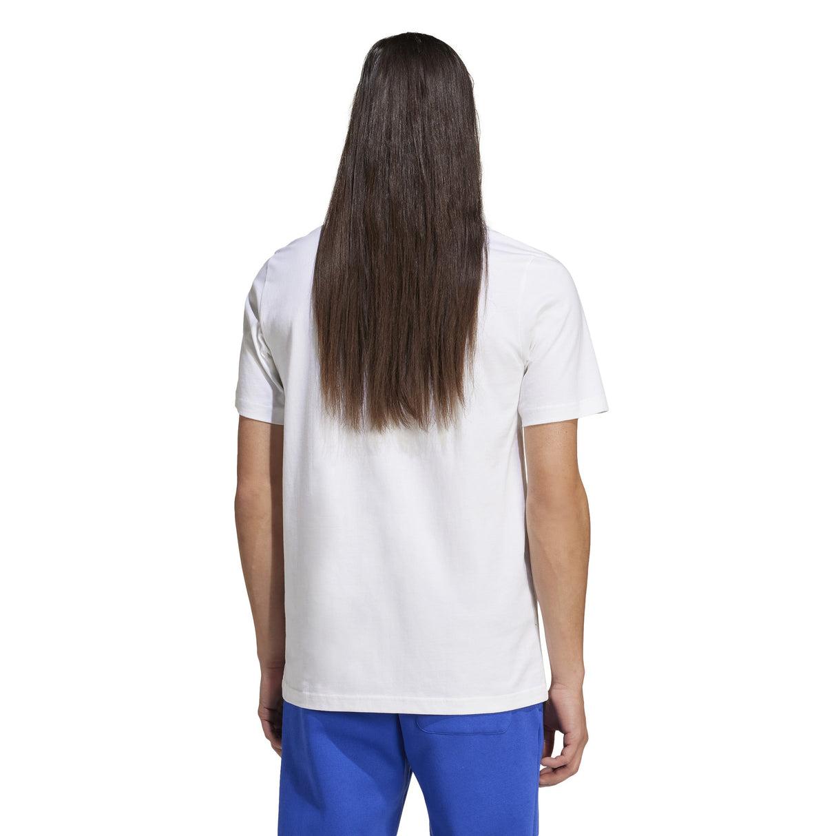 adidas Mens Collegiate Graphic Tee