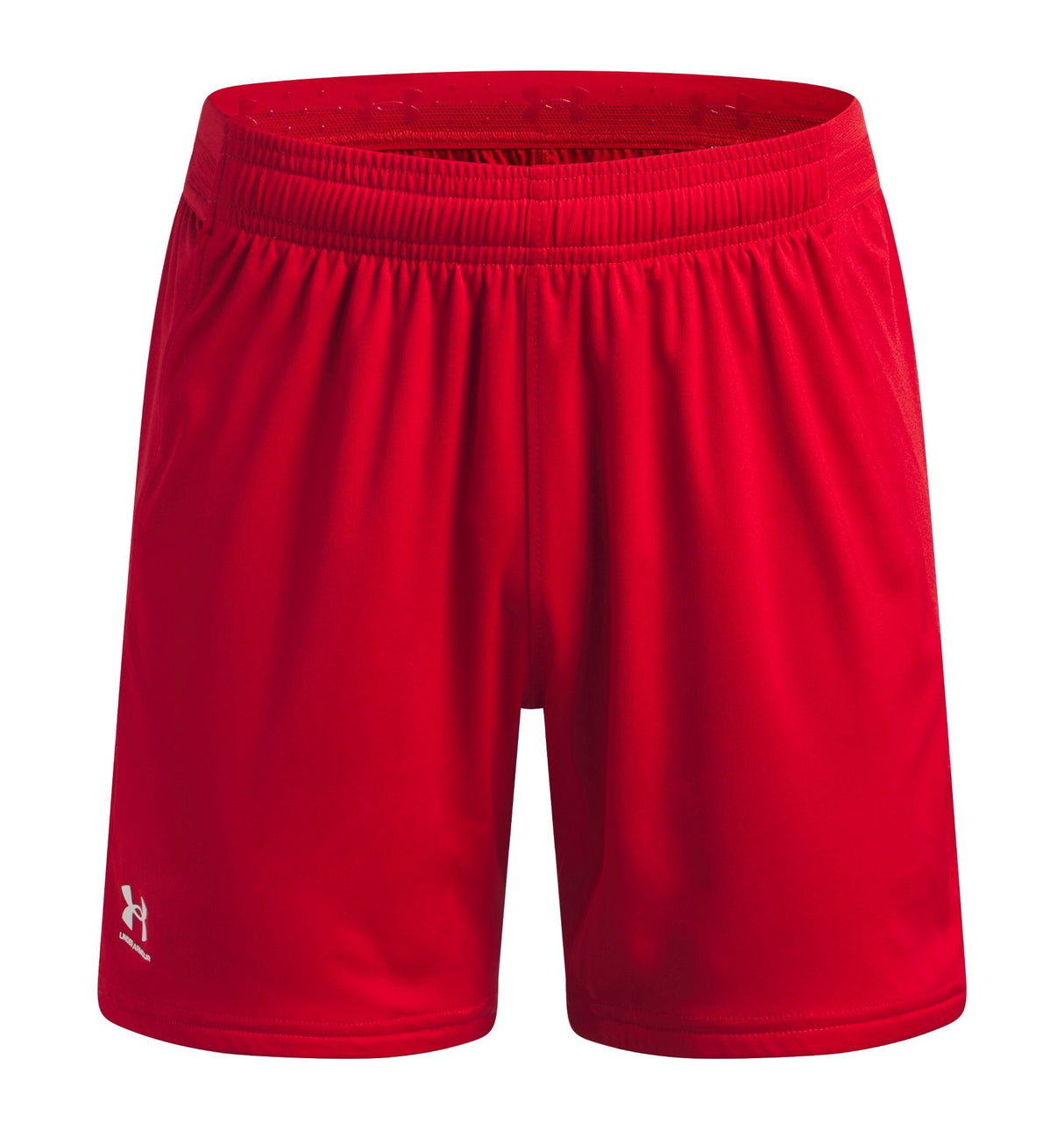 Under Armour Boys Challenger Team Pro Shorts