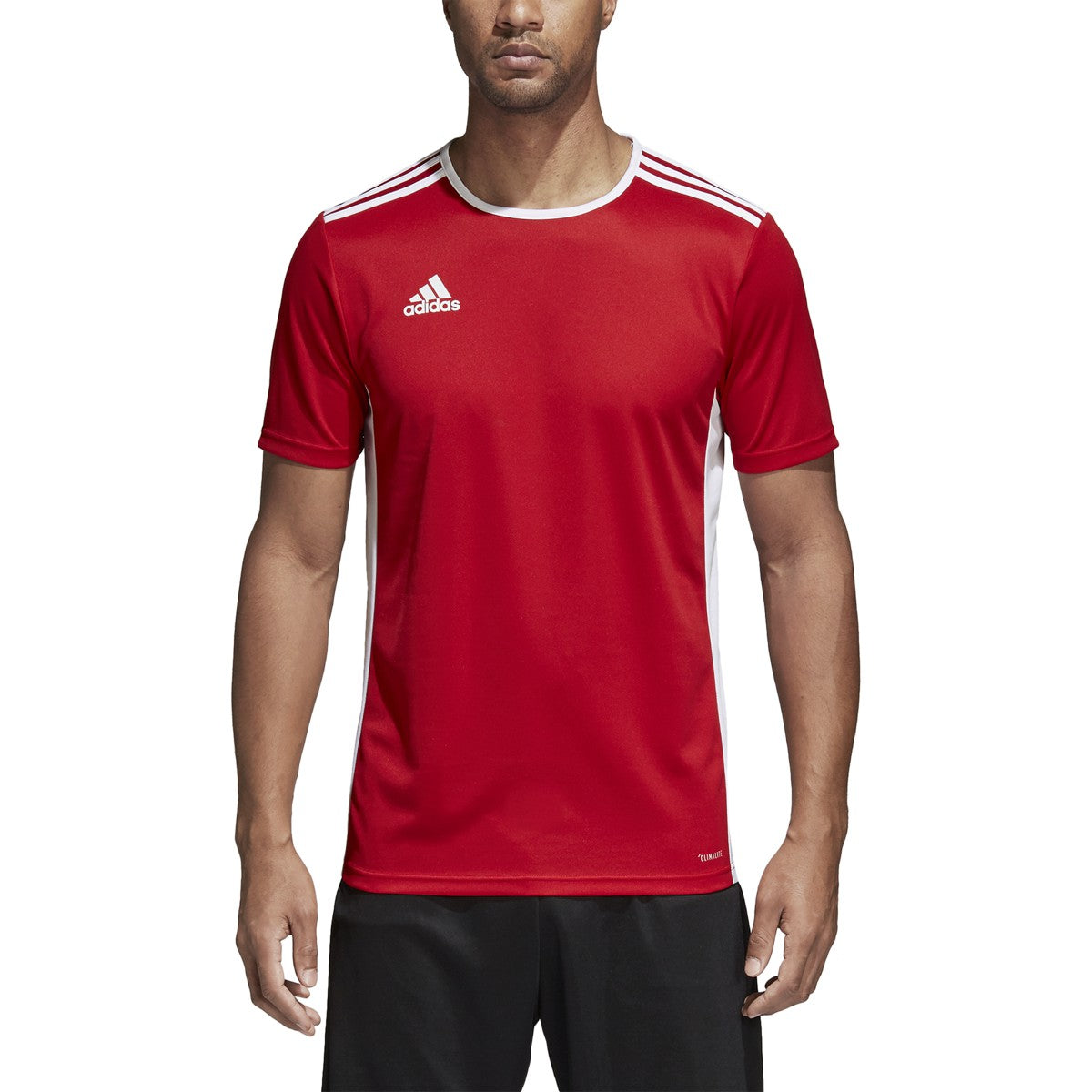 adidas Entrada 18 Jersey - Mens Soccer