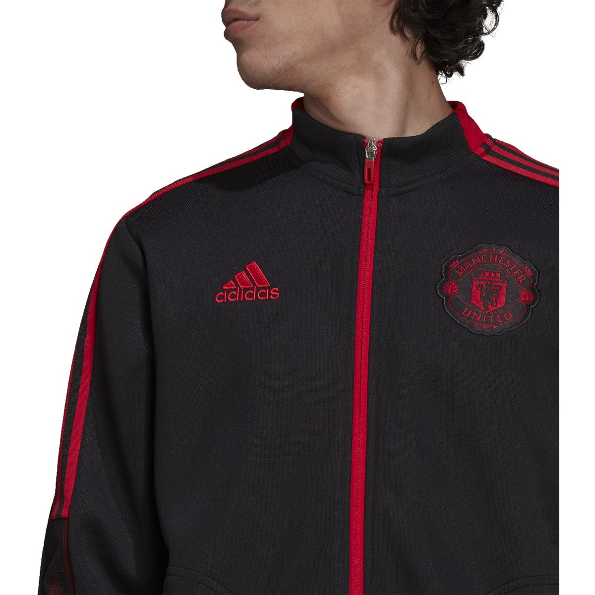 adidas Manchester United Anthem Jacket - Mens Soccer