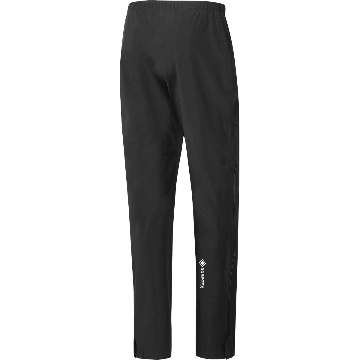 adidas Terrex Gore-Tex Paclite Pants - Mens Hiking