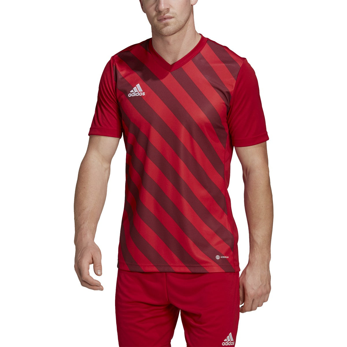 adidas Entrada 22 Graphic Jersey - Mens Soccer