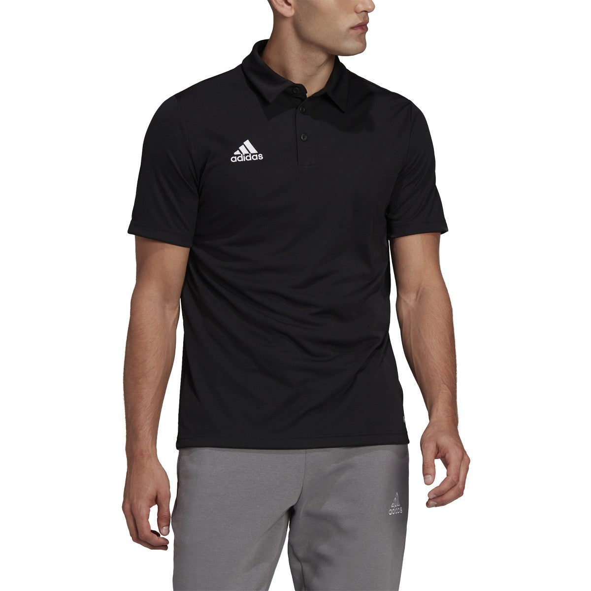 adidas Entrada22 Polo Shirt - Mens Soccer
