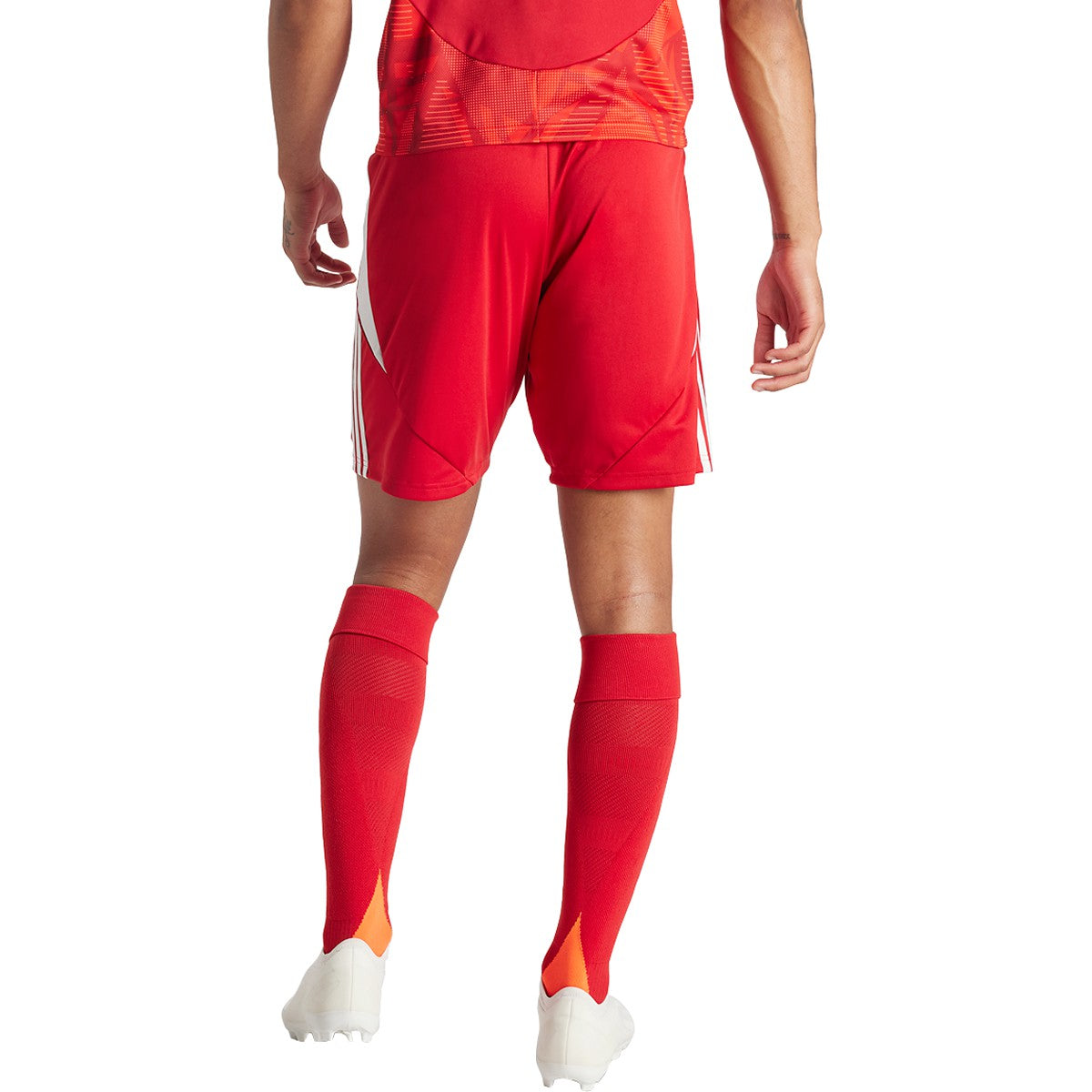 adidas Tiro 24 Mens Soccer Shorts