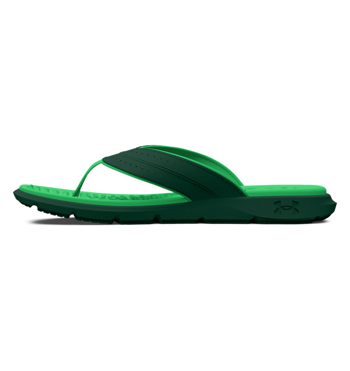 Under Armour Women's UA Ignite Pro Marbella Sandals - Memory Foam Comfort Footwear