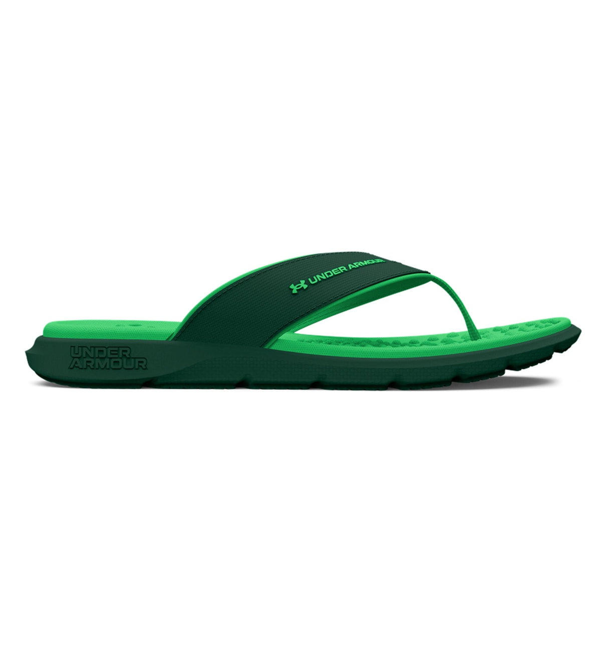 Under Armour Women's UA Ignite Pro Marbella Sandals - Memory Foam Comfort Footwear