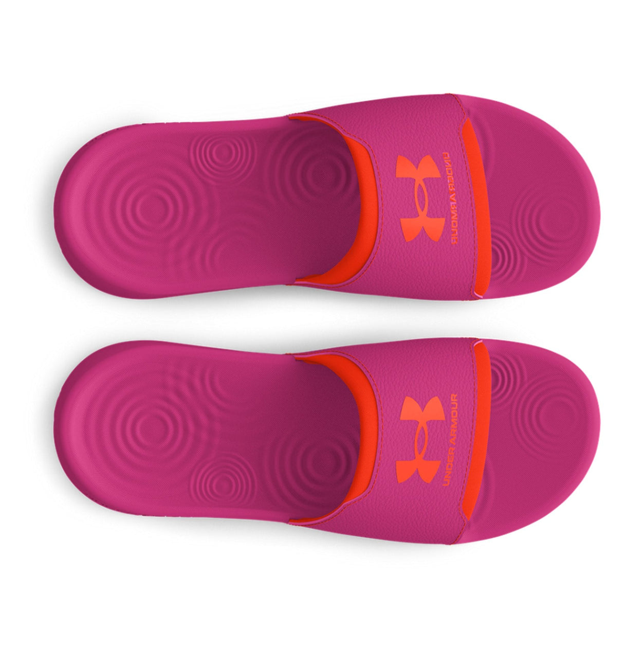 Under Armour Women's UA Ignite Select Slides Footwear - Memory Foam Comfort
