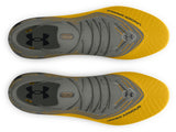Under Armour Men's Shadow Elite 2 FG Soccer Cleats - Speed and Agility Enhancement