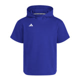 adidas Unisex Dugout Short Sleeve Hoodie