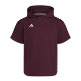 adidas Unisex Dugout Short Sleeve Hoodie
