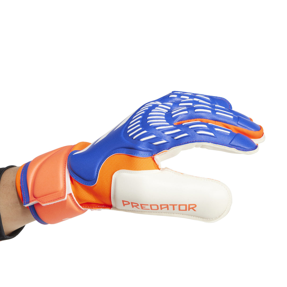 adidas Pred Match Adult Goalkeeper Gloves