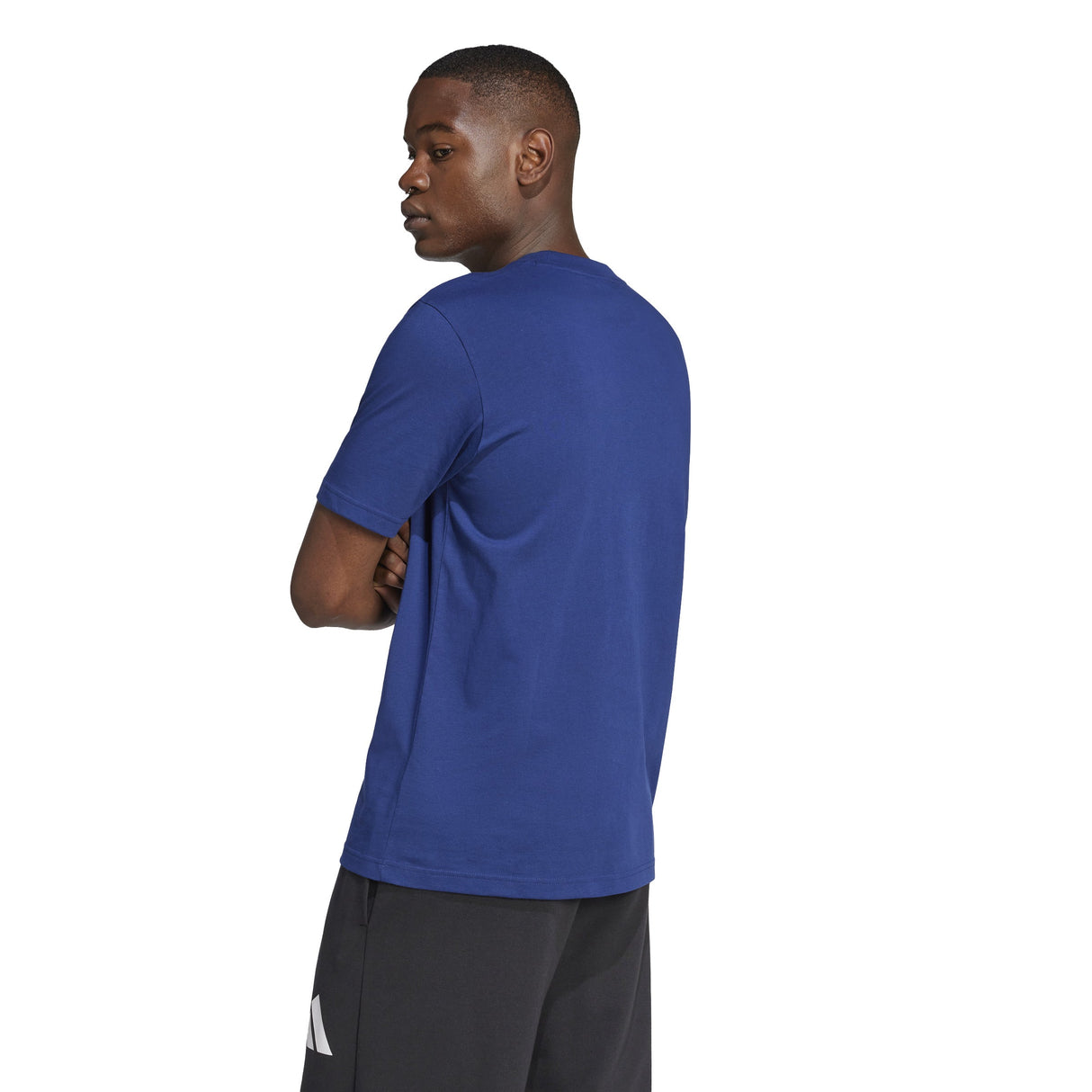 adidas Mens Essentials Big Logo Single Jersey Tee