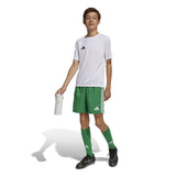 adidas Tastigo 25 Youth Soccer Shorts