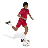 adidas Unisex Junior Entrada 26 Soccer Jersey – ClimaCool Breathability