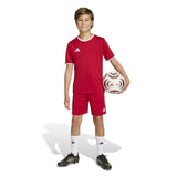 adidas Unisex Kids' Entrada 26 Soccer Shorts – Breathable Climacool Comfort