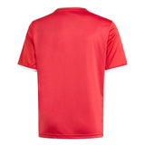 adidas Kids' Unisex Entrada 26 Graphic Soccer Jersey – Breathable ClimaCool