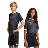 adidas Kids' Unisex Entrada 26 Graphic Soccer Jersey – Breathable ClimaCool