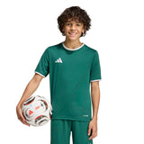 adidas Unisex Junior Entrada 26 Soccer Jersey – ClimaCool Breathability
