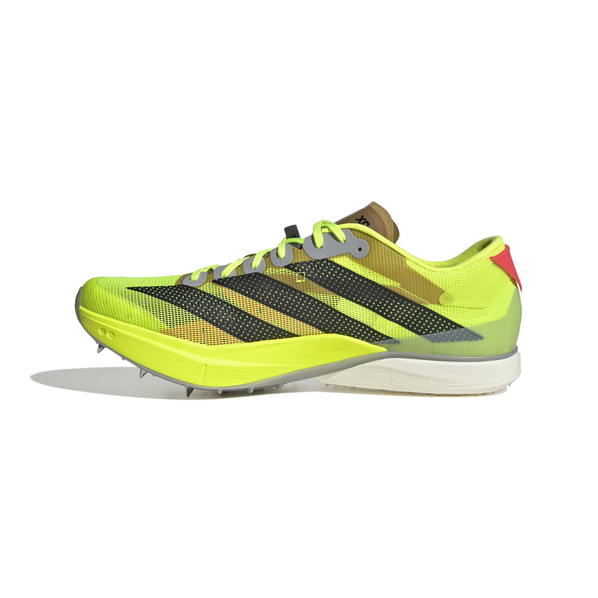 adidas Track and Field Adizero Avanti XC Spikes
