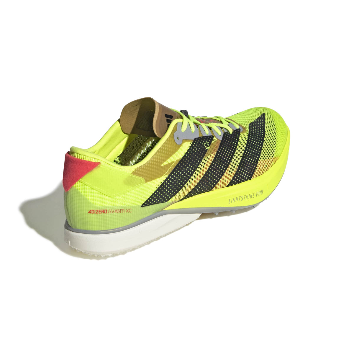 adidas Track and Field Adizero Avanti XC Spikes