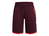 Under Armour Boys Stunt 3.0 Shorts - Fast-Drying