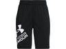 Under Armour Boys Prototype 2.0 Logo Shorts - Fast-Drying Performance Apparel