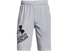 Under Armour Boys Prototype 2.0 Logo Shorts - Fast-Drying Performance Apparel
