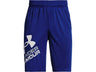 Under Armour Boys Prototype 2.0 Logo Shorts - Fast-Drying Performance Apparel