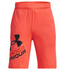 Under Armour Boys Prototype 2.0 Logo Shorts - Fast-Drying Performance Apparel