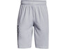 Under Armour Boys Prototype 2.0 Wordmark Shorts - Fast-Drying Fabric
