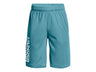 Under Armour Boys Prototype 2.0 Wordmark Shorts - Fast-Drying Fabric