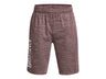 Under Armour Boys Prototype 2.0 Wordmark Shorts - Fast-Drying Fabric