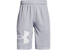 Under Armour Boys Prototype 2.0 SSZ Shorts - Fast-Drying