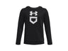 Under Armour Boys Baseball Graphic Hoodie - Armour Fleece Technology