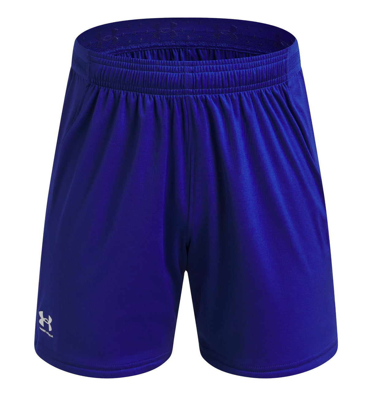 Under Armour Boys Challenger Team Pro Shorts