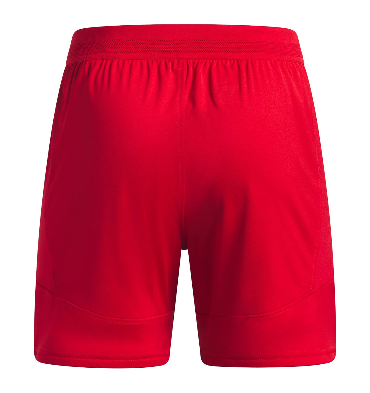 Under Armour Boys Challenger Team Pro Shorts