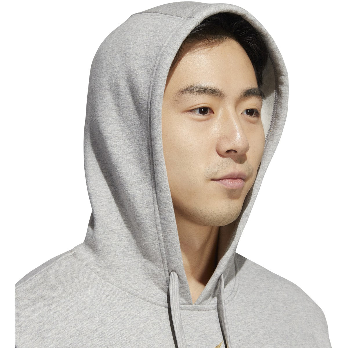 adidas Foil Badge of Sport Mens Graphic Hoodie