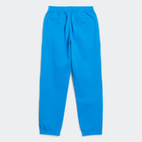adidas Heavyweight Shmoofoil Gender Neutral Skateboarding Pants