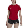 adidas Hilo Short Sleeve Womens Volleyball Cap Jersey