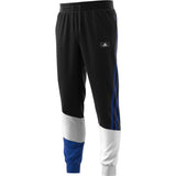 adidas Sportswear Colorblock Pants - Mens Casual