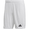 adidas Tastigo 19 Shorts - Mens Soccer
