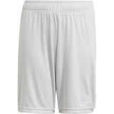 adidas Tastigo 19 Shorts - Youth Soccer
