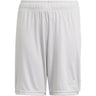 adidas Tastigo 19 Shorts - Youth Soccer