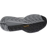 adidas Terrex Free Hiker 2 Gore-Tex Womens Hiking Shoes