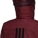 adidas Terrex Myshelter Down Womens Hooded Jacket